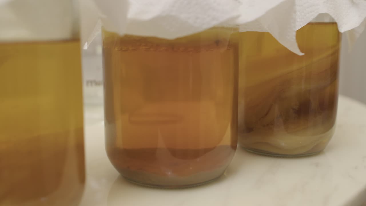 Three glass jars with three stages of SCOBY bacteria growth