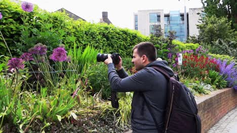 photographer captures purple allium and red garden blooms, dubh linn garden