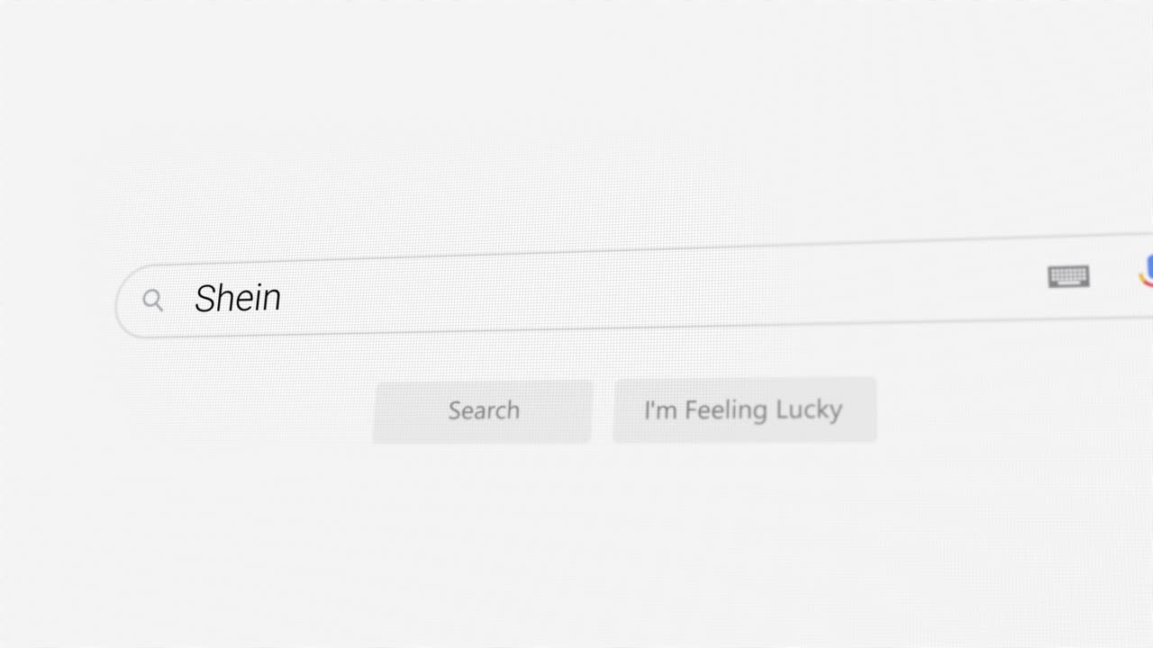 Searching for Shein on Internet browser