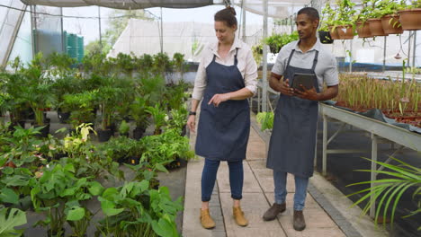 garden center workers discussing plant care while walking through greenhouse