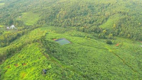 agriculture water storage pond liner in a forest in malvan