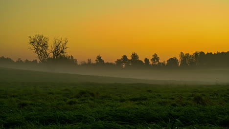 Toma-De-Movimiento-Rápido-De-Niebla-Que-Sopla-Niebla-Pasando-Por-Las-Praderas-Verdes-Con-Puesta-De-Sol-Dorada-En-El-Fondo