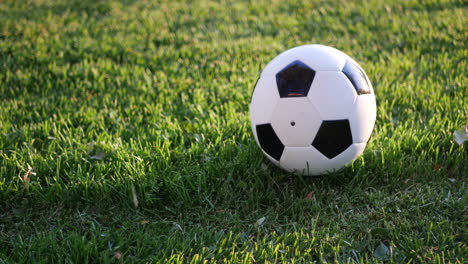 A-black-and-white-soccer-ball-or-football-on-a-green-sports-field-in-the-sunlight-during-a-game