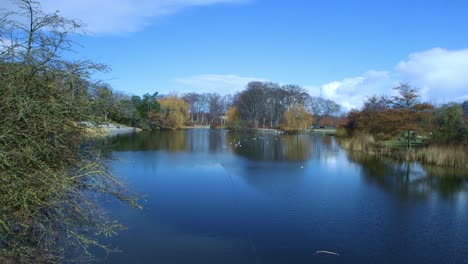 copenhagen spring park – copenhagen fælledparken