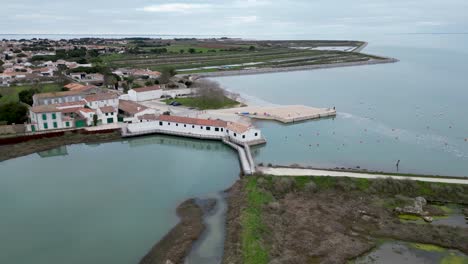 Village-of-Loix-in-the-Île-de-Ré-Island-in-Western-France-with-nearby-salt-marshes-with-bridge,-Aerial-flyover-shot