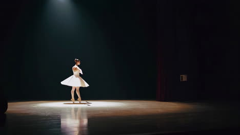 ballet dancer performance