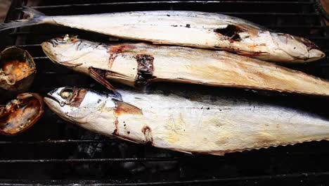 Close-up-of-whole-mackerel-fishes-or-Trey-Ang-and-crabs-on-a-charcoal-grill-which-is-a-common-picnic-food-for-Khmer-people-in-Cambodia