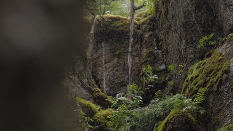 Lluvia-Meditativa-Del-Bosque-En-Cámara-Lenta-Ambiente-Otoñal-Malhumorado