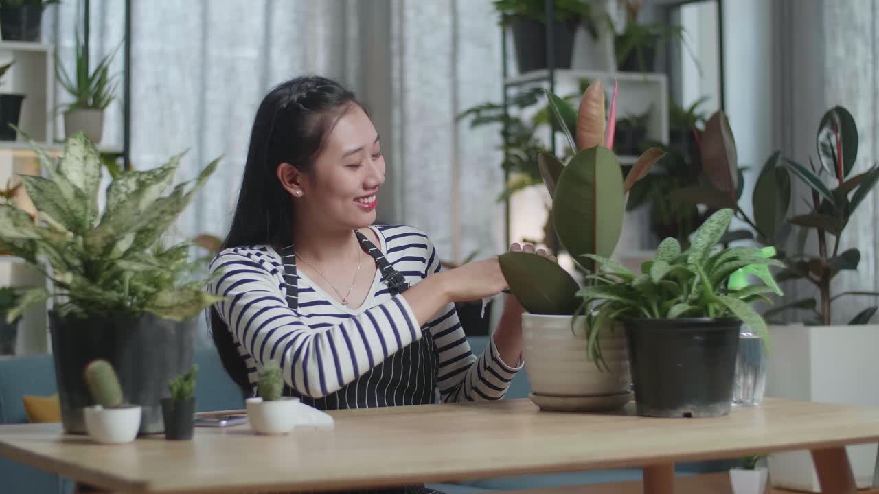 미소 짓는 아시아 여성 이 집 에서 식물 을 청소 하고 있다