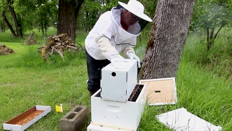 finalizando la configuración de la caja de abejas y transportando las abejas a un nuevo hogar