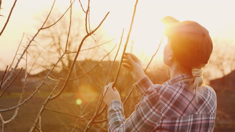 Young-Woman-Gardener-Examines-Tree-Branches-In-The-Garden