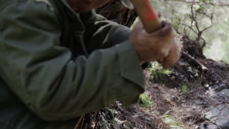 Close-up-of-a-woodcutter-using-an-axe-to-cut-down-tree-in-Samos,-Greece