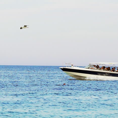 catamaran with people is riding on the sea waves on excursion on the background of a cloudless blue sky not far from coast.