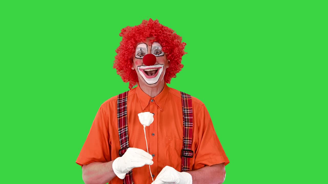 payaso gracioso sosteniendo una flor de rosa de papel y caminando en una pantalla verde, llave de croma