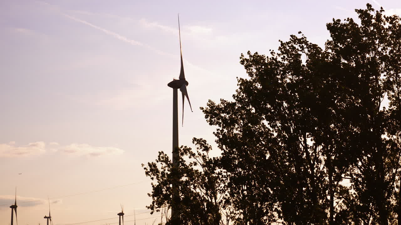 Silhouette of a tree and wind turbine from low angle perspective. Wind farm generating green energy.