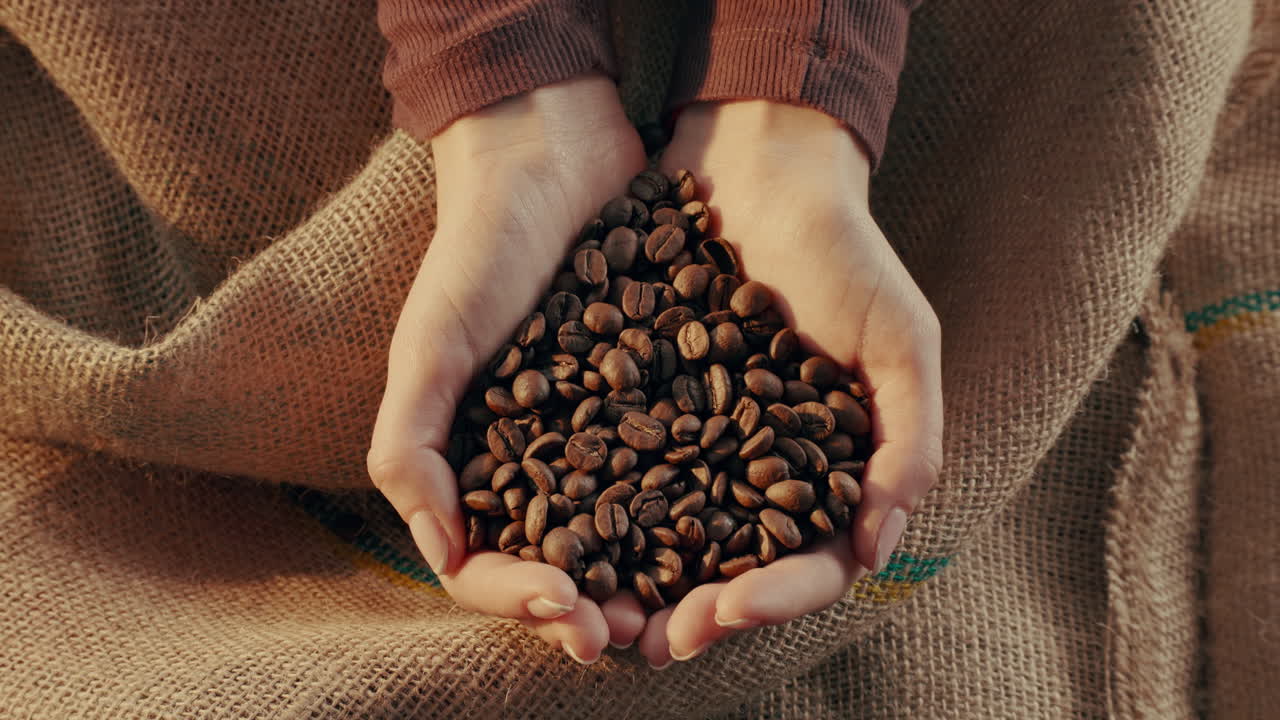 Hands holding coffee beans