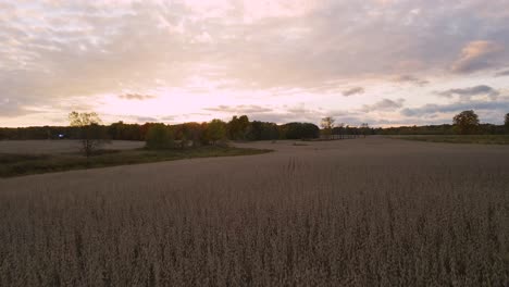 farmland in mid michigan during sunset