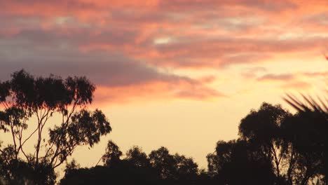 Australischer-Sonnenuntergang,-Große-Wolken,-Orangefarbener-Himmel-Und-Eukalyptusbäume,-Australien,-Maffra,-Gippsland,-Victoria