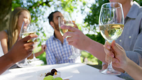 grupo de amigos brindando copas de vino