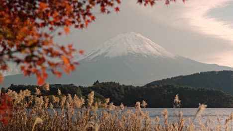 una vista impresionante del monte fuji rabove y el lago kawaguchiko, rodeados de un vibrante follaje de otoño rojo y naranja.