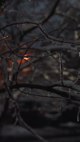primer plano de ramas de árboles desnudas congeladas cubiertas de hielo y gotas de nieve, luz suavemente brillante en el fondo, edificio borroso con figuras poco claras