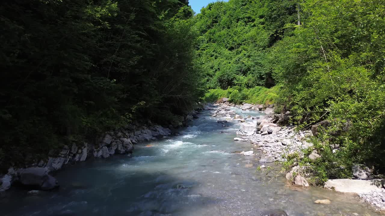 푸른 숲을 가로질러 흐르는 평온한 강