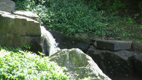 cascada de agua por un canal bordeado de rocas en el jardín