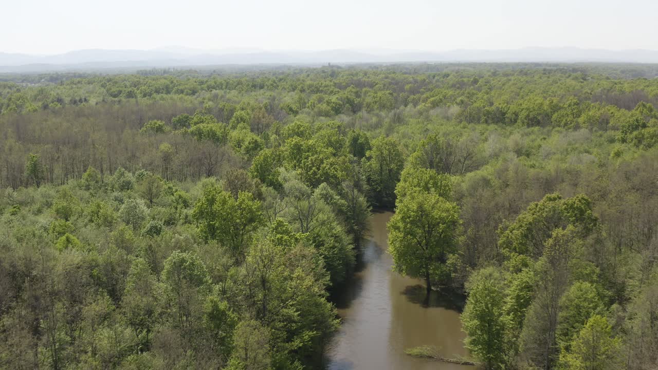 숲 한가운데 호수 위를 드론으로 날다