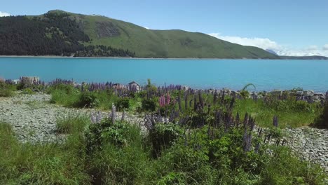 Vista-Aérea-De-Un-Bosque-Y-Un-Hermoso-Mar-Con-Orillas-De-Piedra