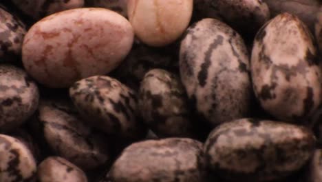 Extreme-closeup-of-isolated-chia-seeds