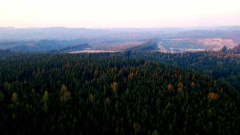 Toma-Aérea-De-La-Densa-Selva-Tropical-Cerca-De-Las-Cataratas-Snoqualmie-En-Snoqualmie-Washington