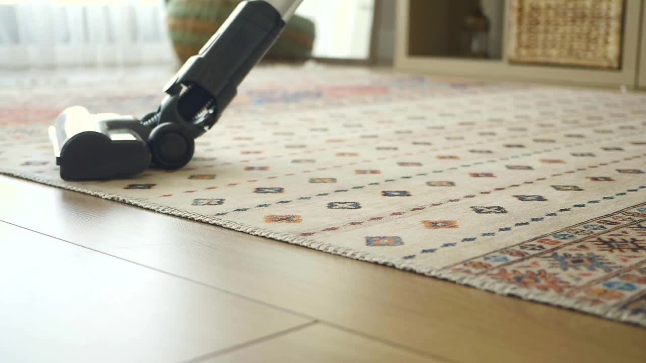 Vacuum Cleaner on a Patterned Rug