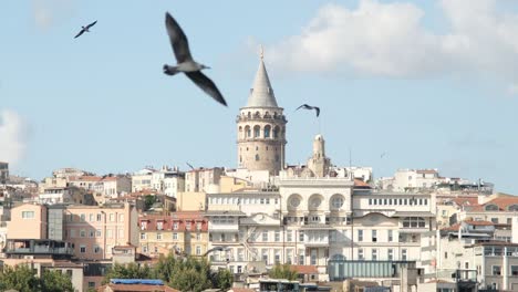 galata tower, seagulls pass in front of galata tower, hand shot