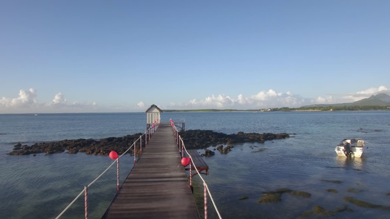 바다 연안 에 있는 나무 의 공중 사진