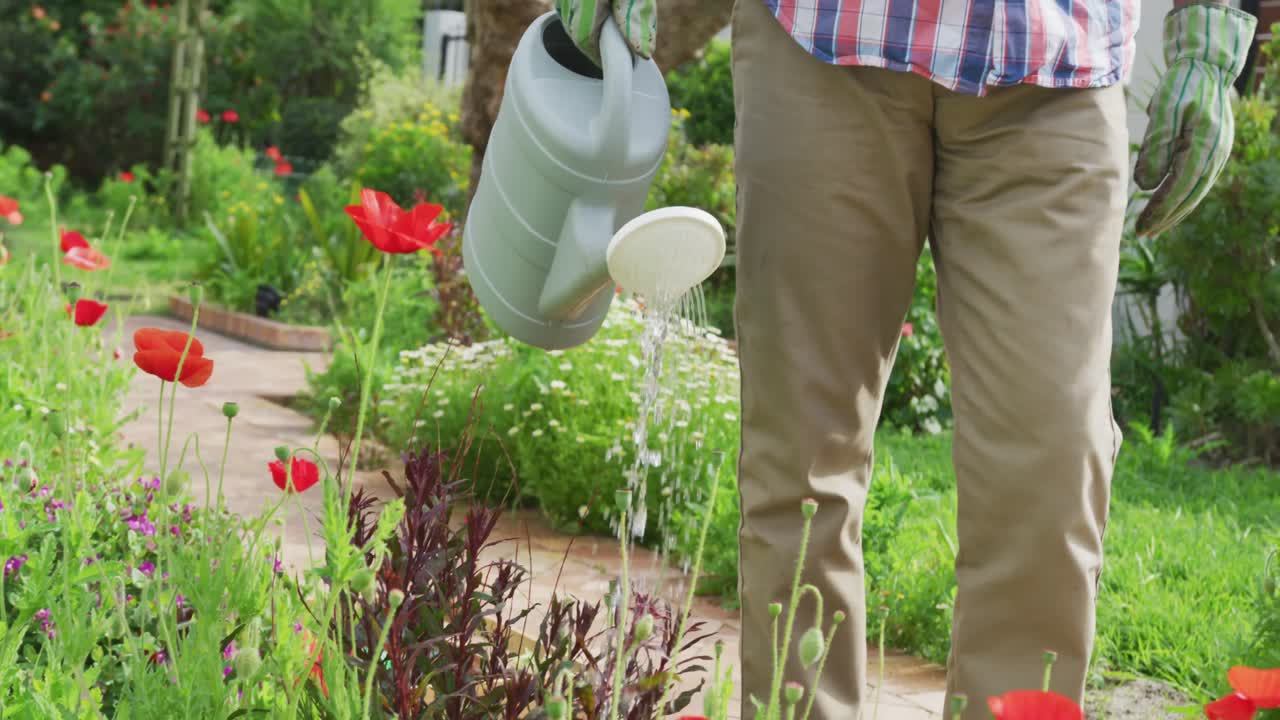 animación de un hombre mayor afroamericano haciendo jardinería, regando flores