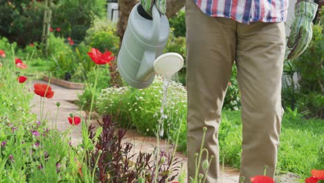 animation of african american senior man gardening, watering flowers