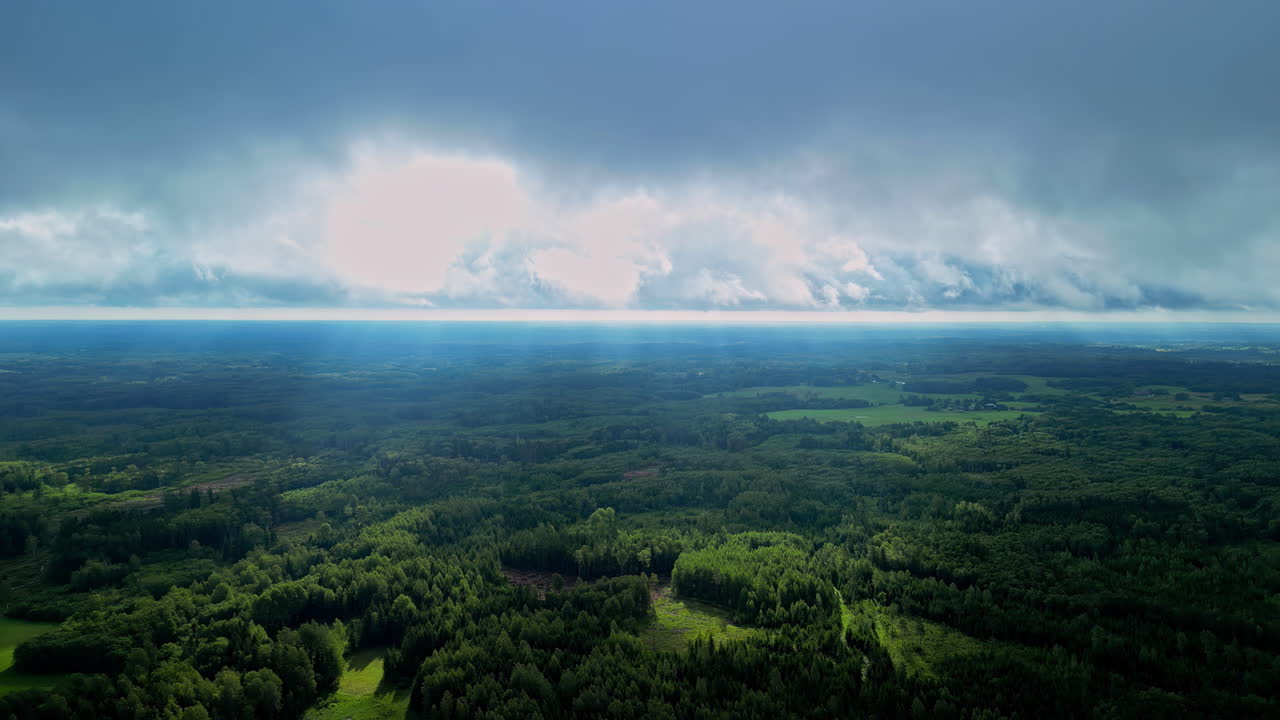los rayos del sol atraviesan las nubes, iluminando el bosque verde - concepto divino