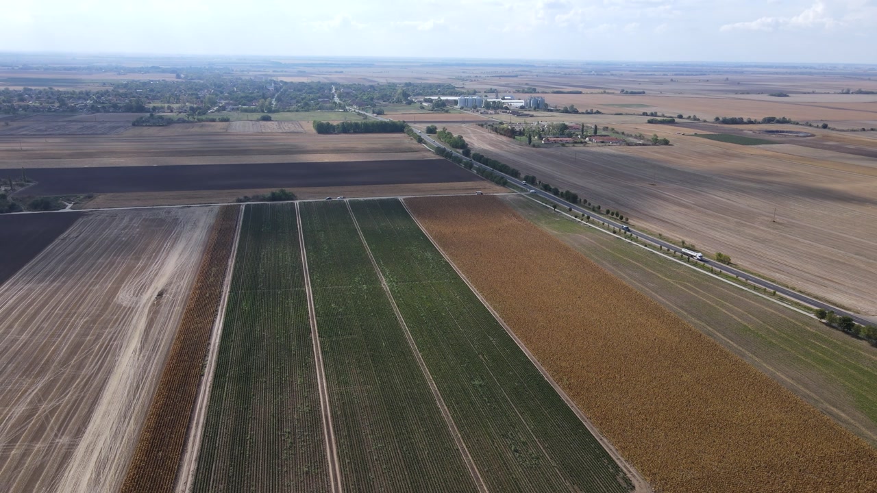 Agricultural fields and farmland landscapes dividing crops and land with road