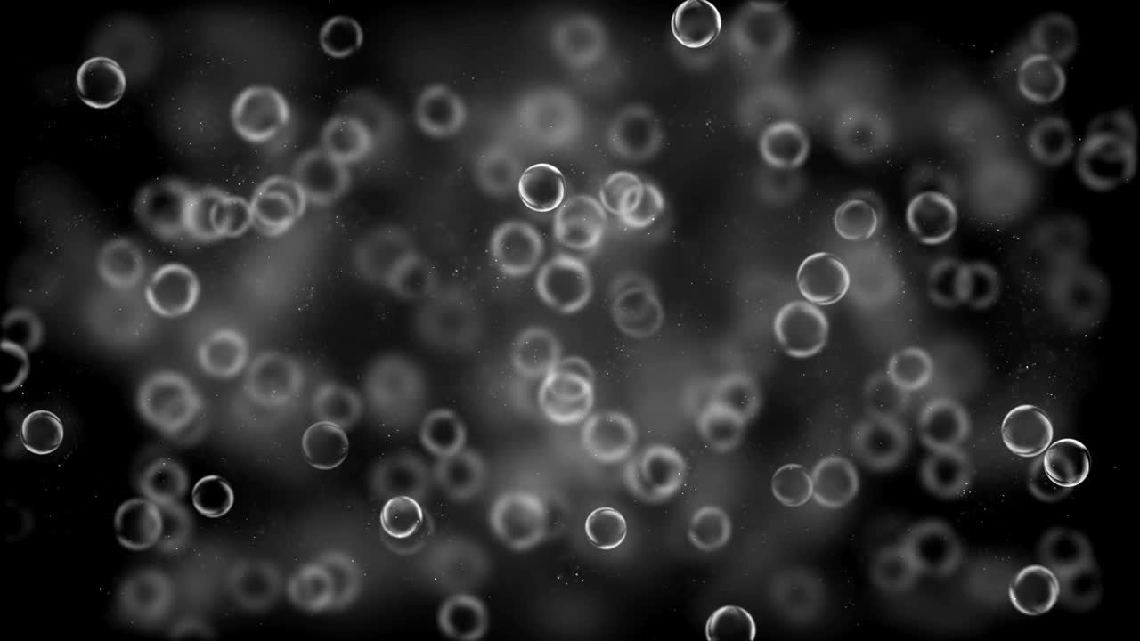 컬러 버블 (루플) - 스 비디오