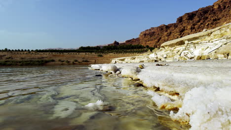 salt flats along a salty lake