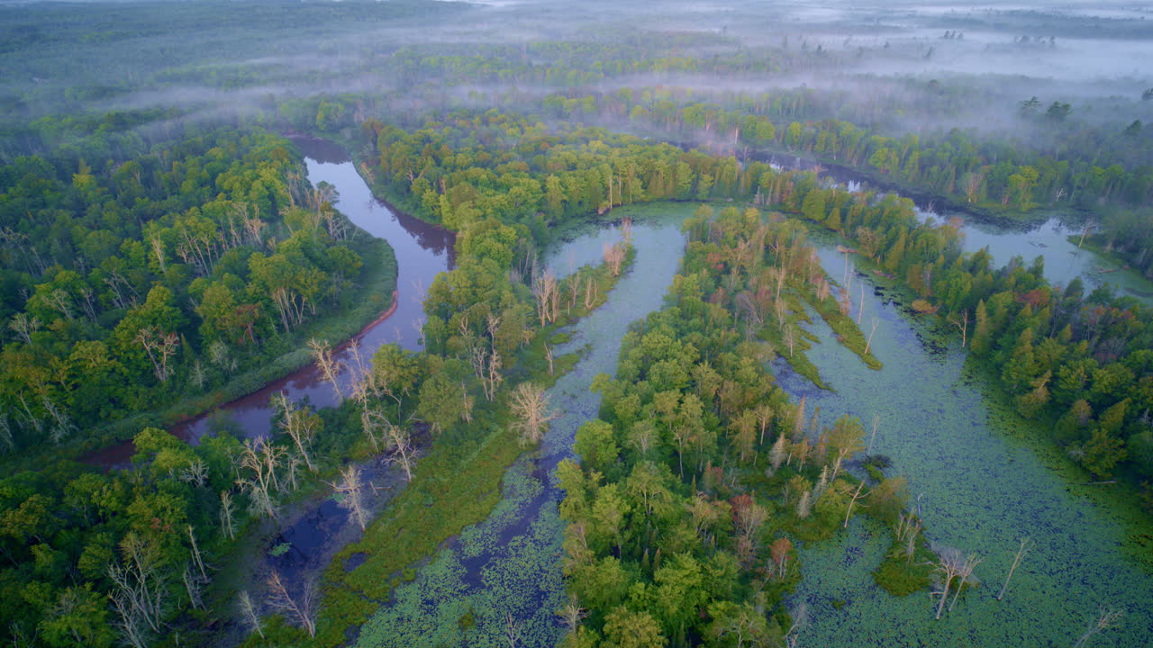 Aerial shot flying the crazy river bends of the wild Manistee river in northern michigan at sunrise on a foggy morning