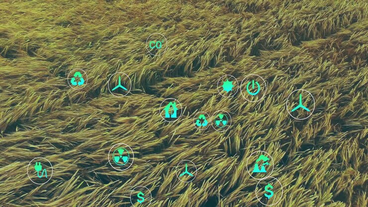 Flattened golden wheat field featuring flat design green eco tech icons floating across surface
