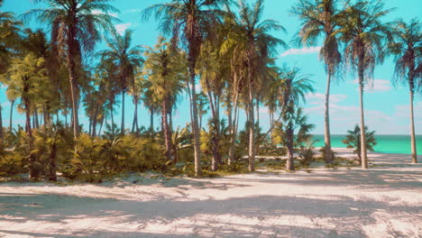 tropical paradise with white sand and palm trees