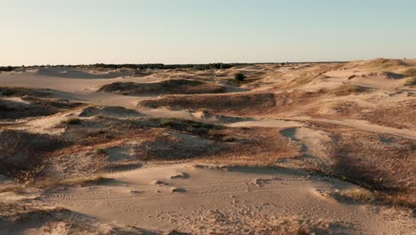 aerial view of a desert, sand dunes. texture of the surface of desert nature