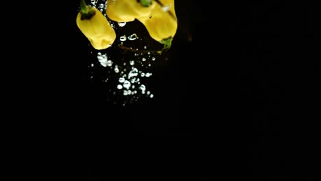 super slow motion of fresh madame jeanette peppers falling into water on black background