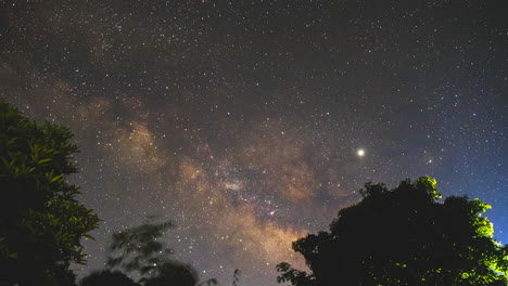 Milky-way-timelapse-with-trees-in-the-foreground,-wide-shot-taken-from-East-Nepal