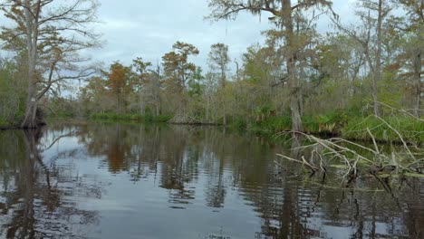 4K-cinematic-footage-of-Swamplands-outside-New-Orleans,-in-Louisiana,-USA