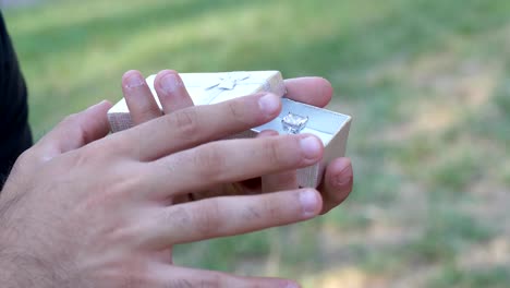 propuesta de matrimonio
