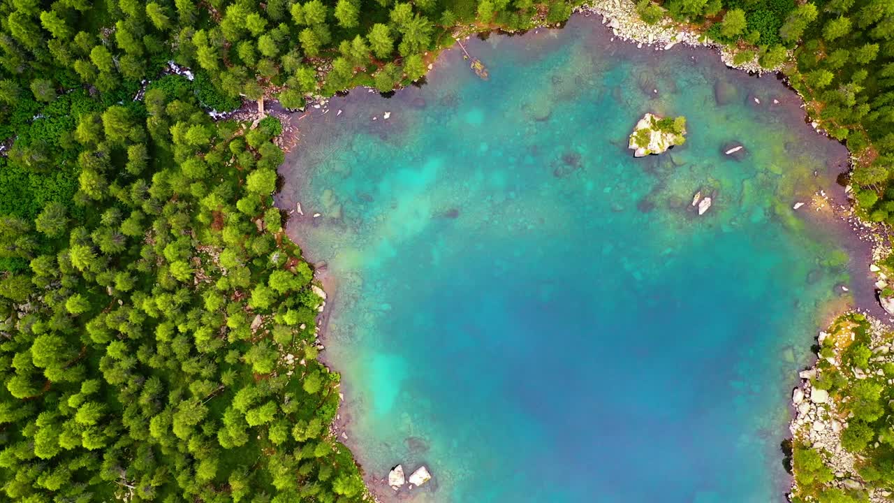 Vista aerea su un lago blu limpido con acqua turchese trasparente. Bellissime acque del Lago di Saoseo in Svizzera, circondato da alberi verdi 4K.