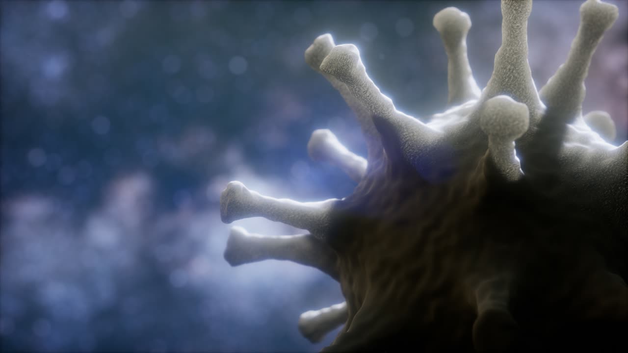 Virtual representation Macro model of Novel Coronavirus COVID-2019